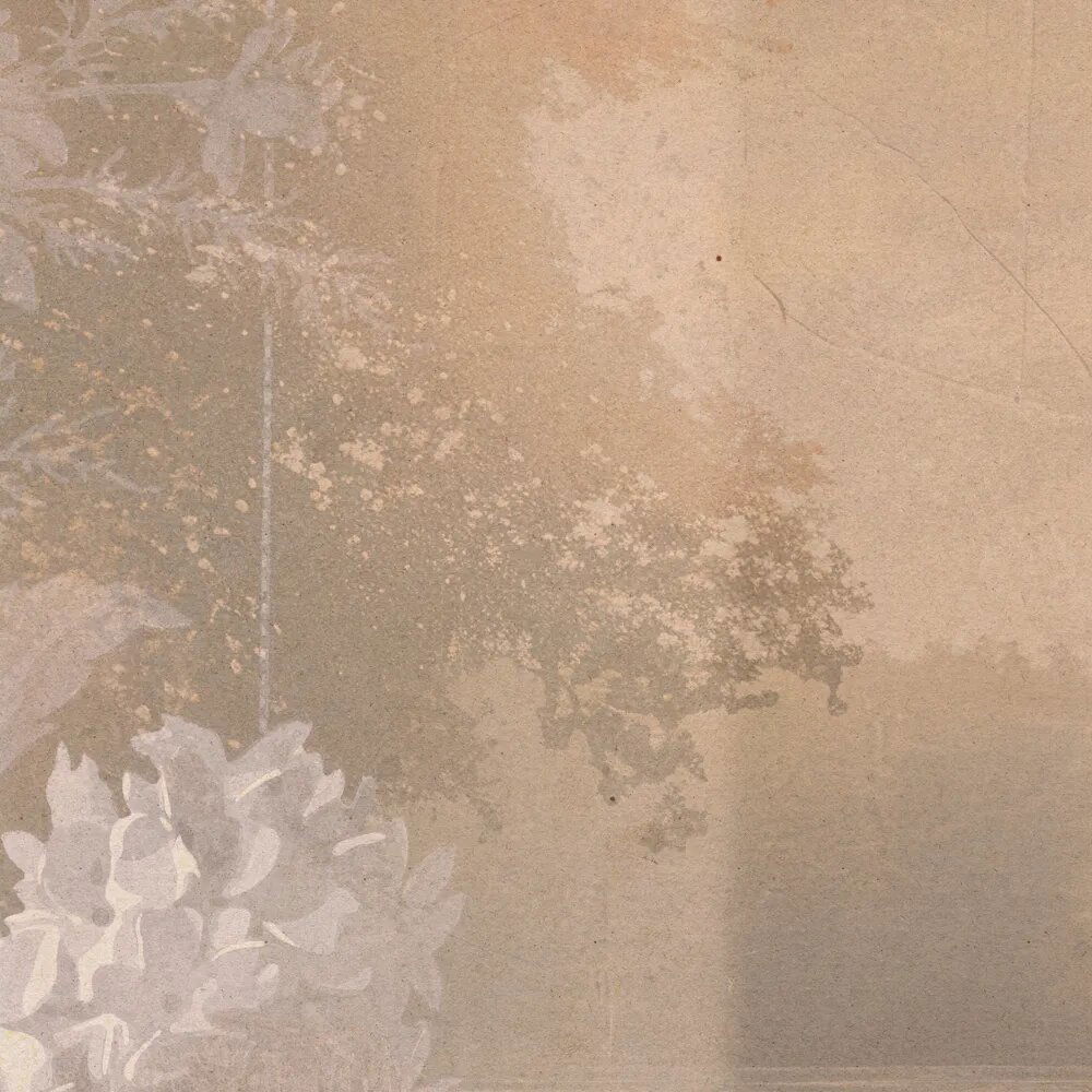 walls by patel Photo wallpaper Walls by Patel 5