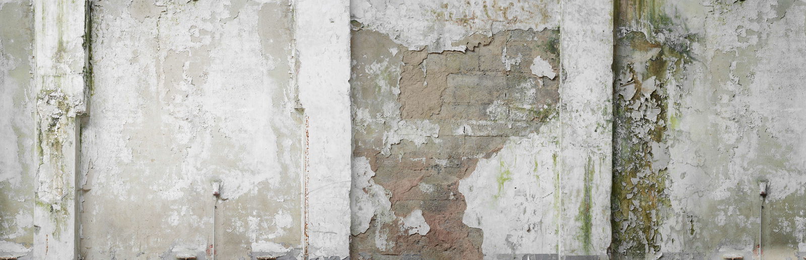 Architects Paper Photo wallpaper AP Digital 4