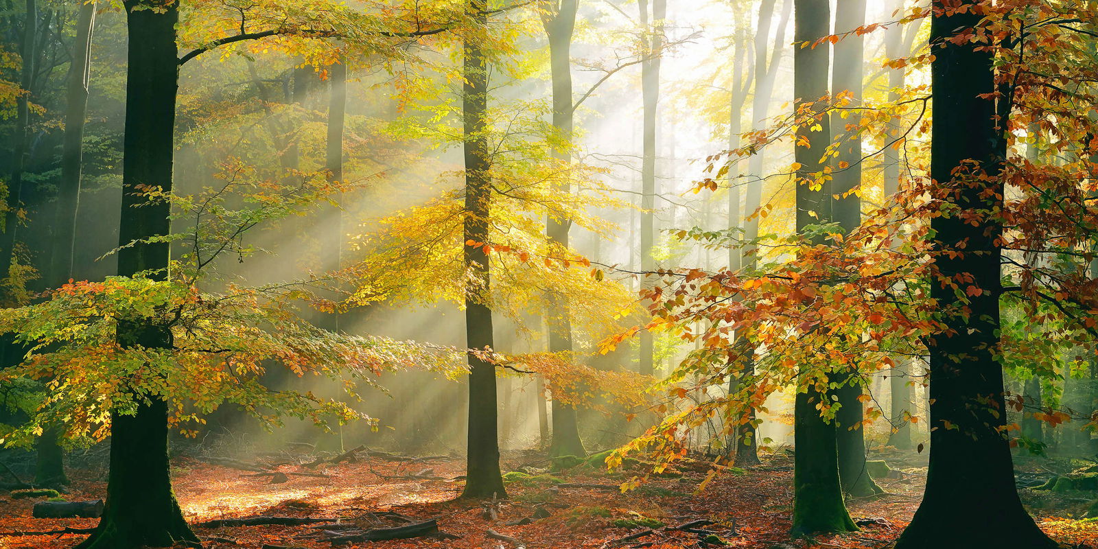 Architects Paper Fotobehang AP Digital 4