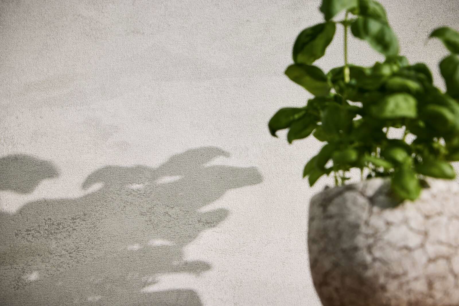 livingwalls Behang Hot Spots