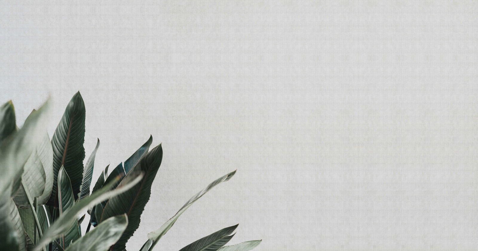 walls by patel Photo wallpaper Walls by Patel 2