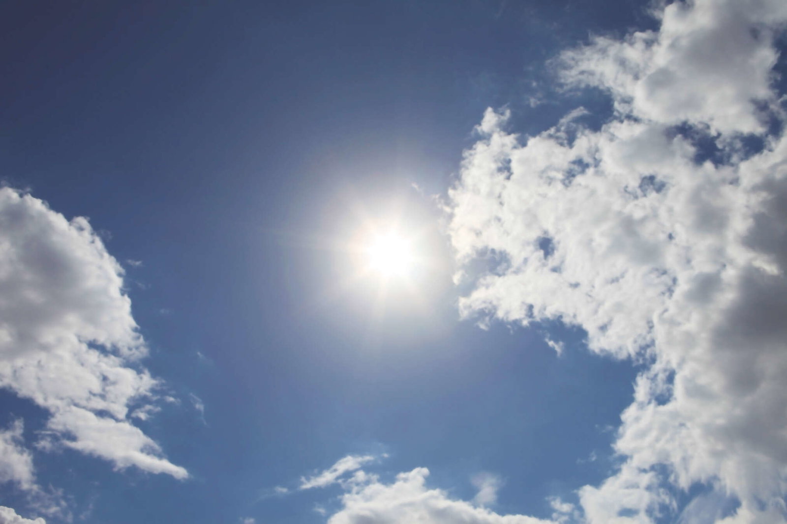 Architects Paper Фотообои AP Digital