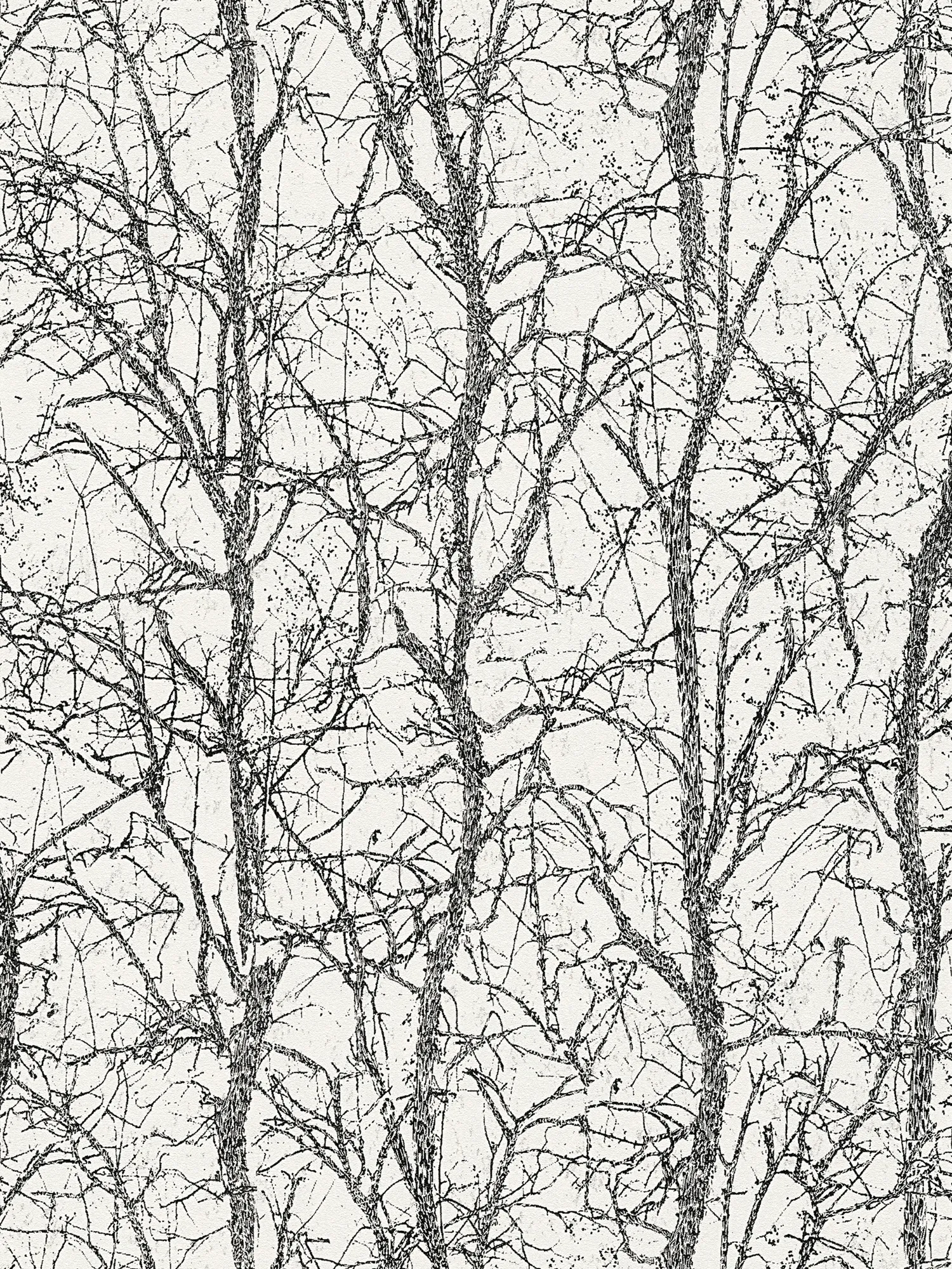 A.S. Création papier peint Attractive 3