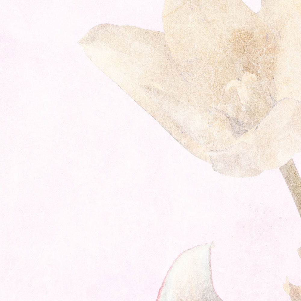 walls by patel Fototapete Walls by Patel 3