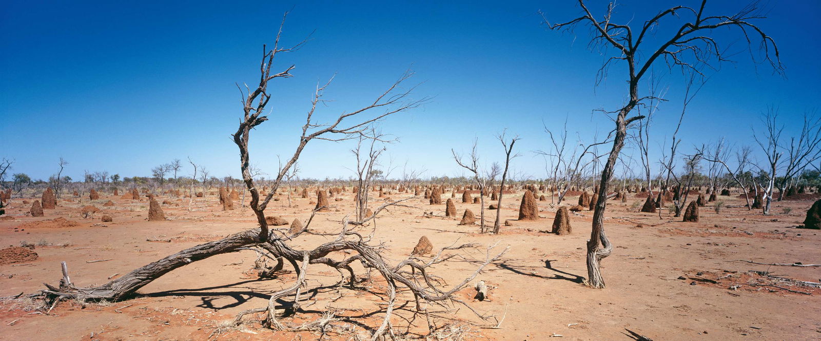 Architects Paper impression numérique AP Digital