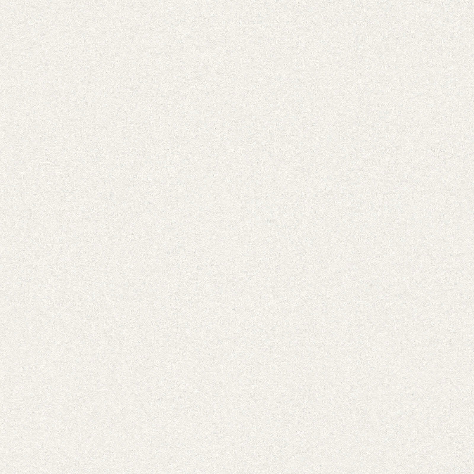 A.S. Création Wallpaper Attractive 3