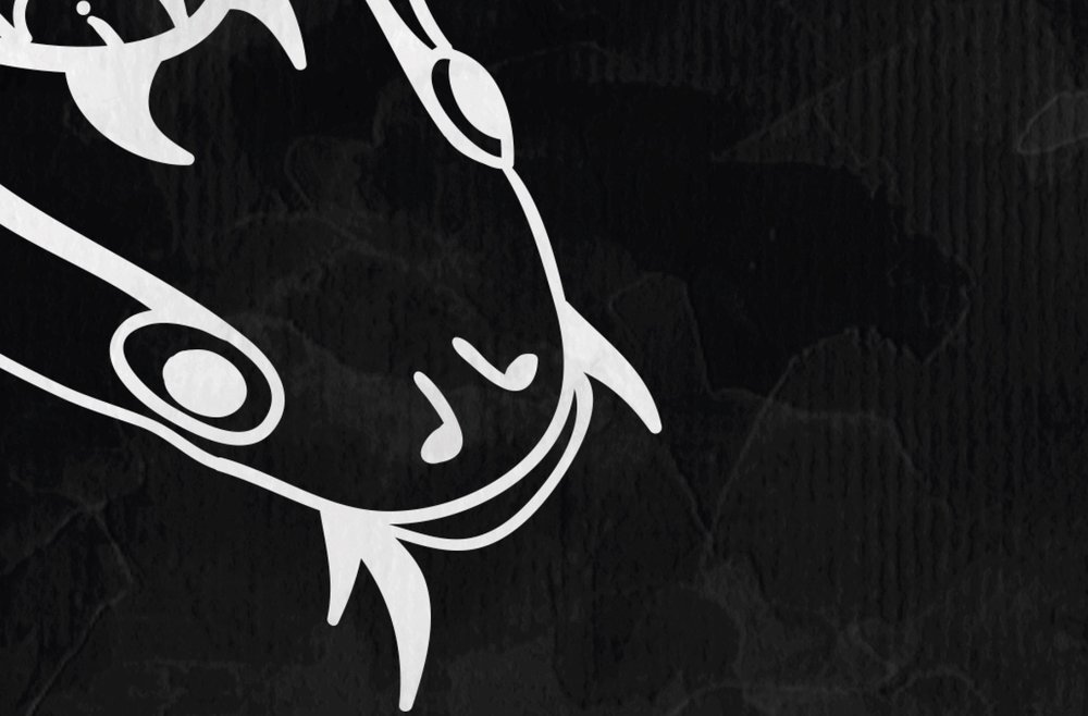 walls by patel impression numérique Walls by Patel