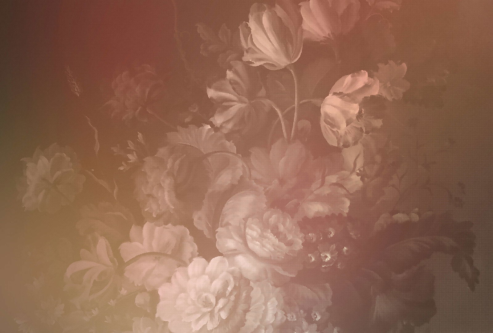 walls by patel Photo wallpaper Walls by Patel 2