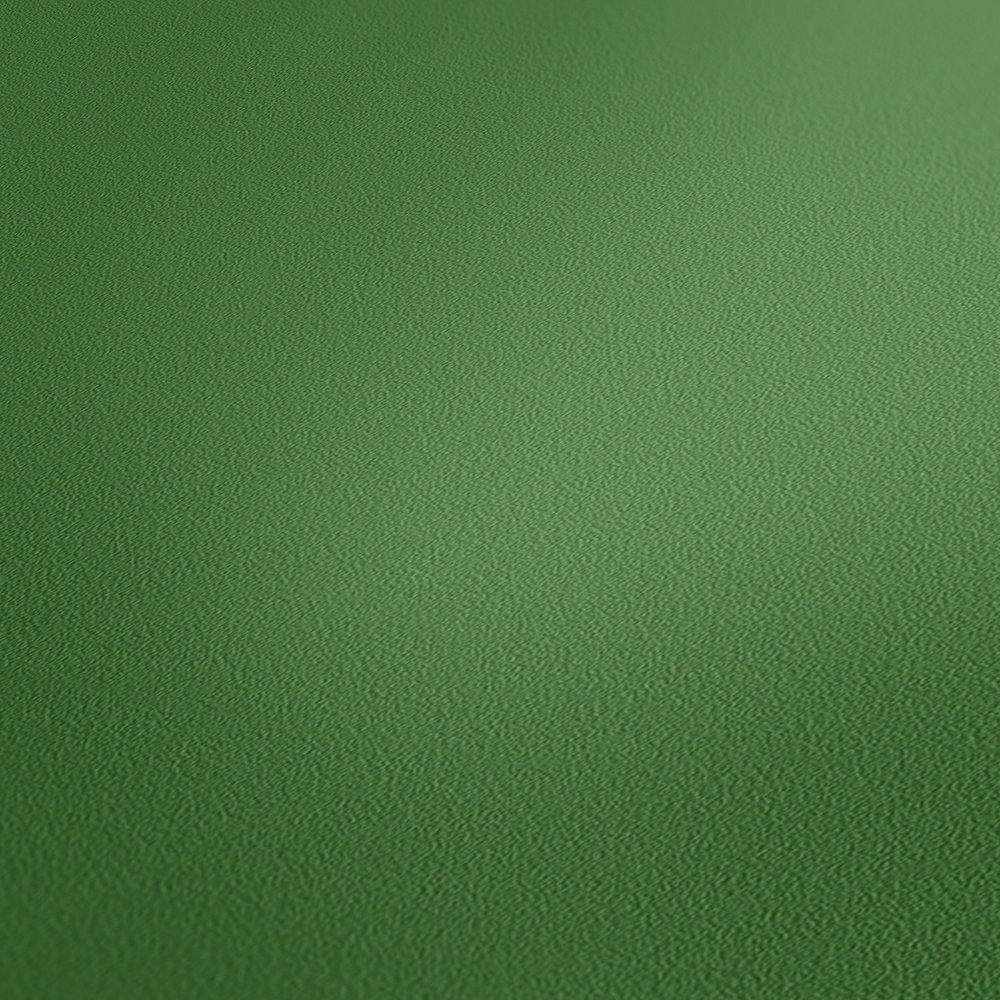 Architects Paper Wallpaper AP Longlife Colours