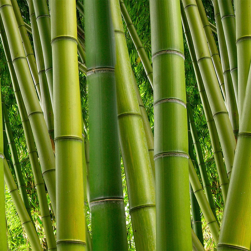 livingwalls Photo wallpaper XXLwallpaper 3