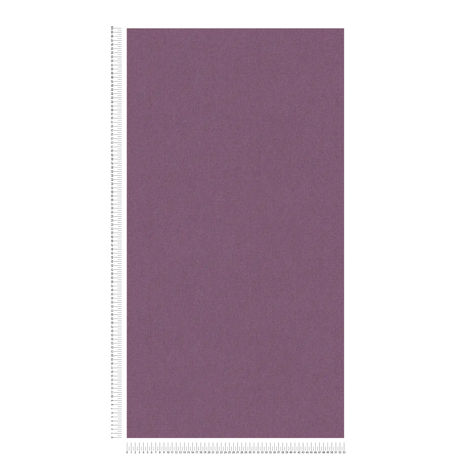 Architects Paper Wallpaper Jungle Chic