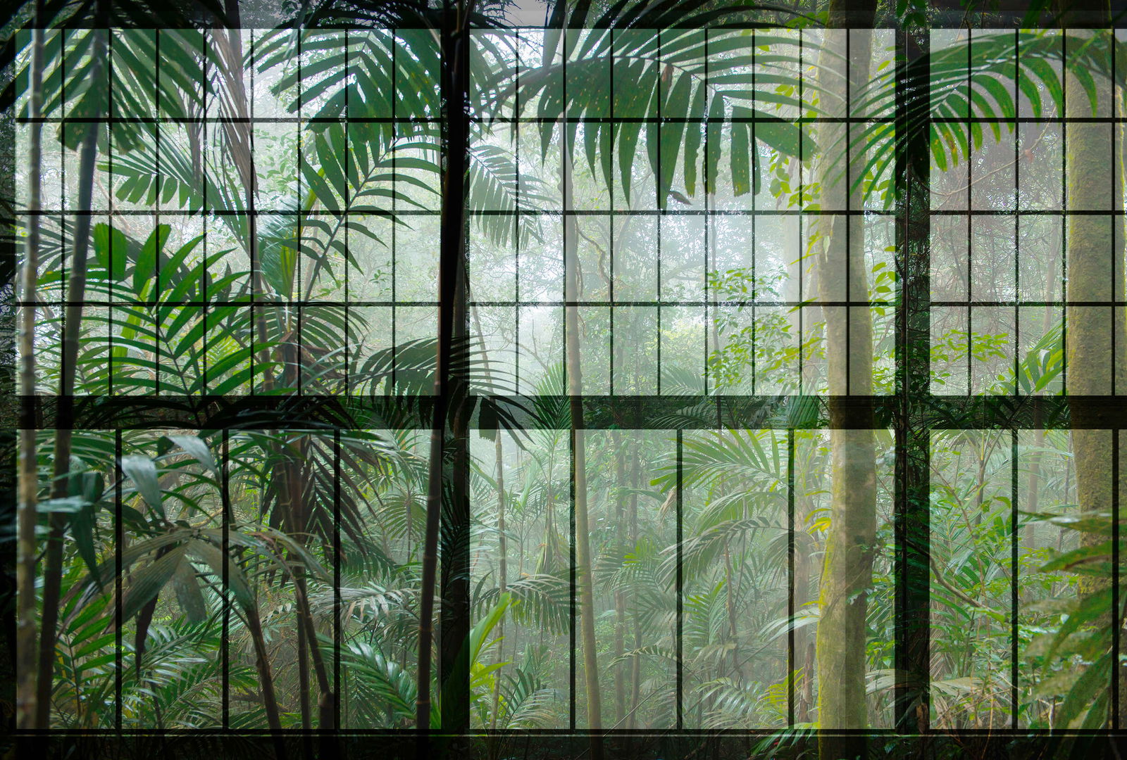 walls by patel Photo wallpaper Walls by Patel 2