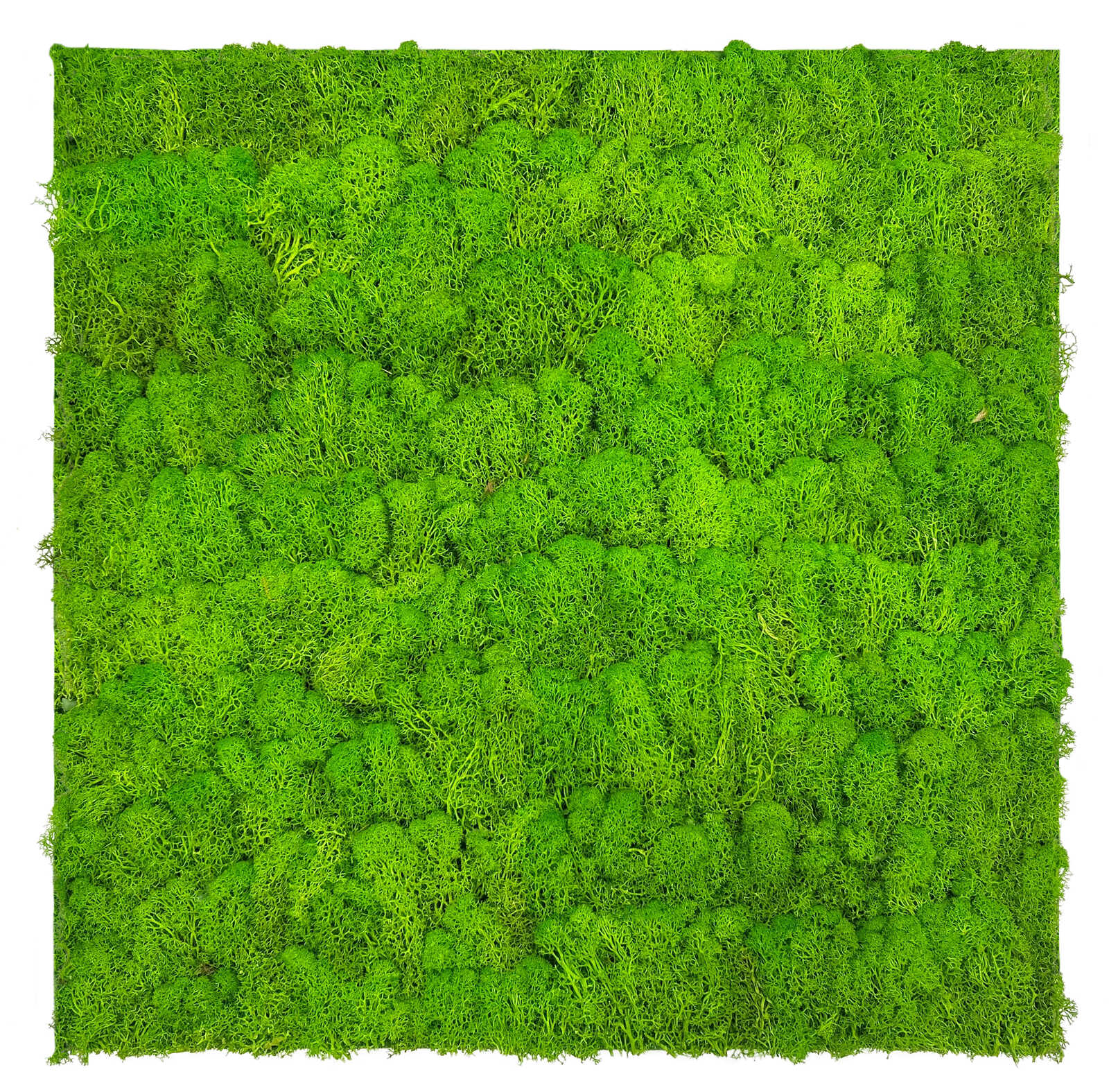 A.S. Création Wandpaneel Modular Wall