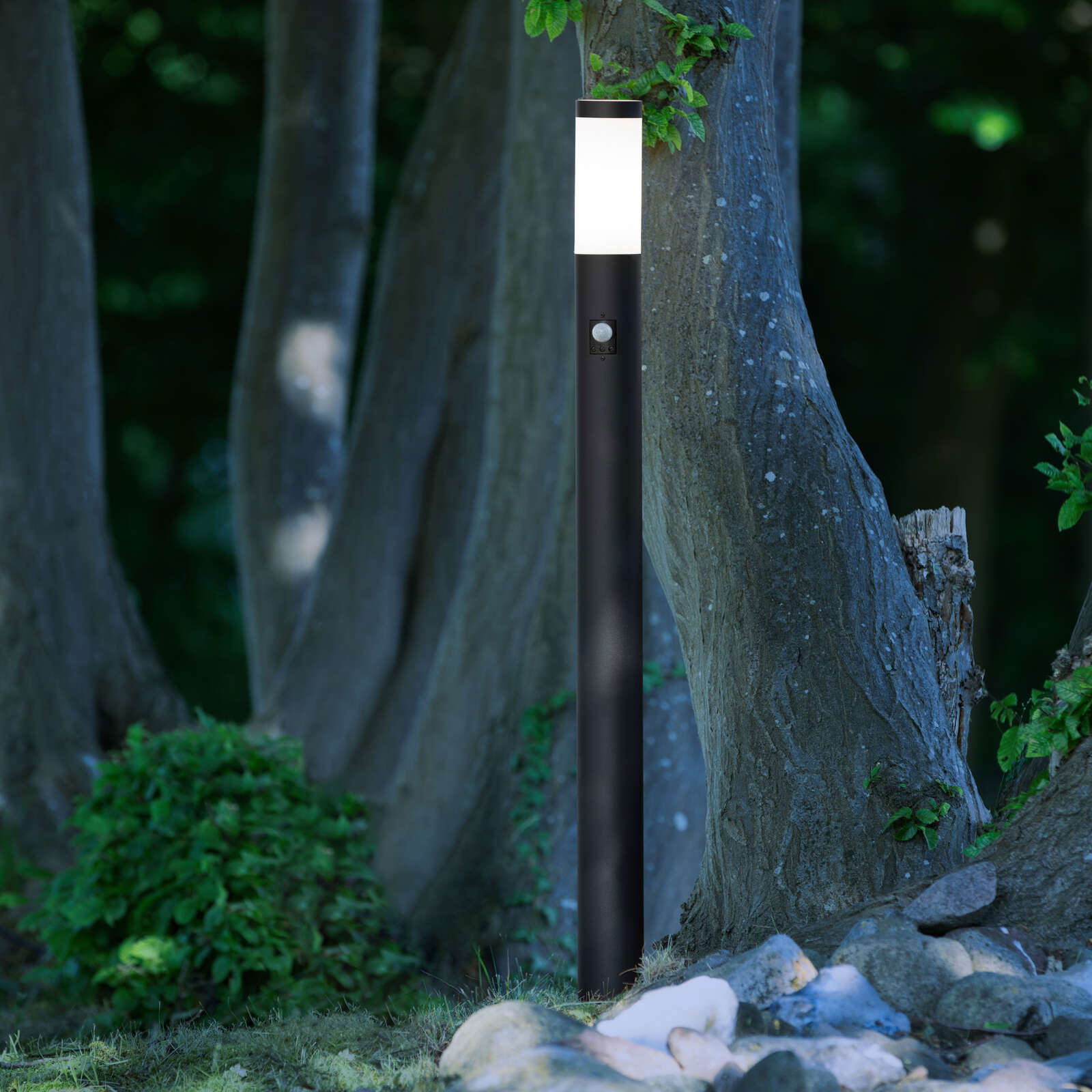 A.S. Création Leuchte Lumos