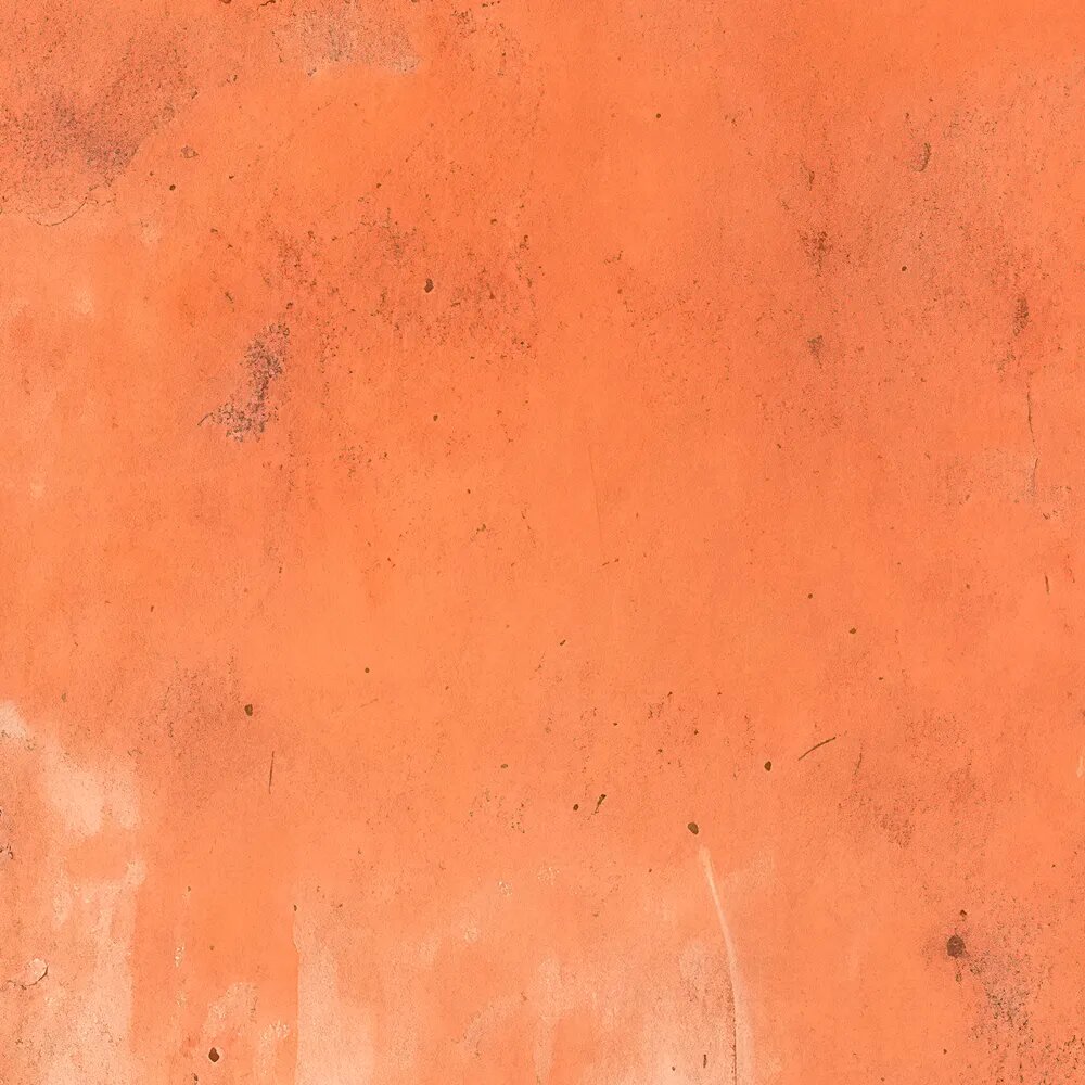 walls by patel Photo wallpaper Walls by Patel 5