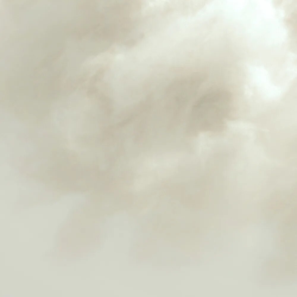 walls by patel Fototapete Walls by Patel 5