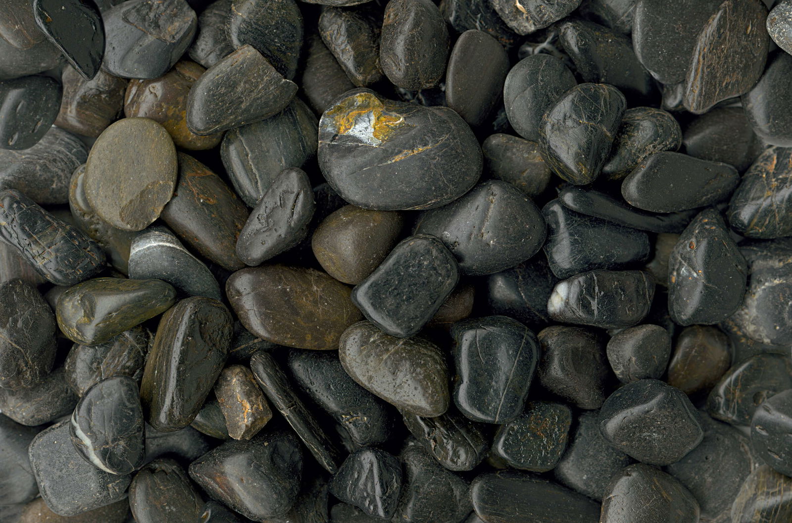 Architects Paper Photo wallpaper AP Digital 4