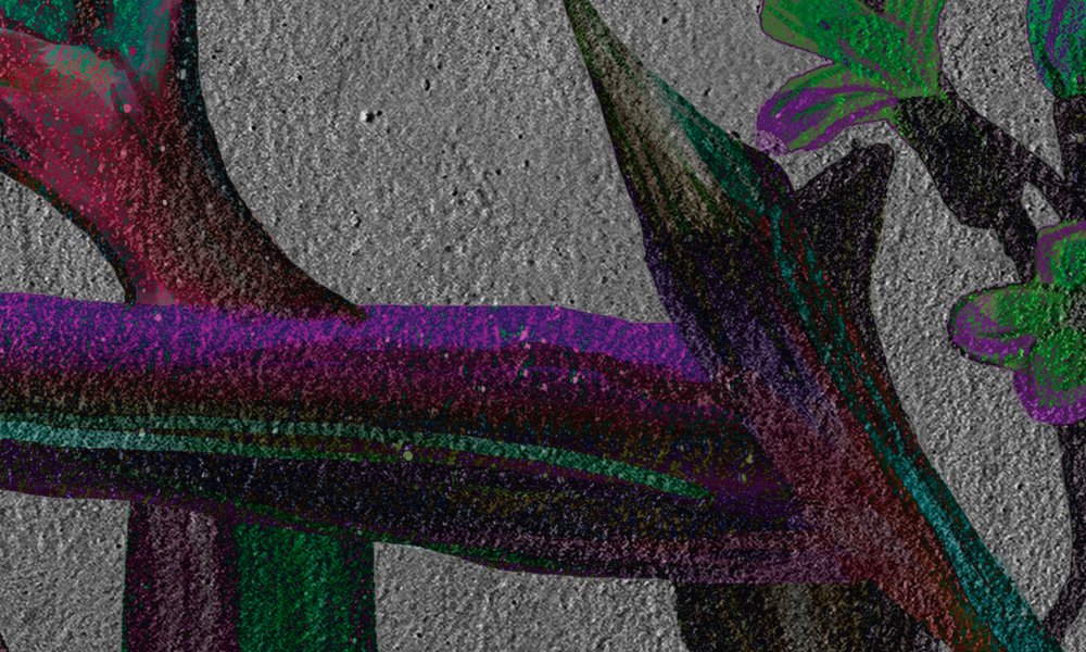 walls by patel impression numérique Walls by Patel