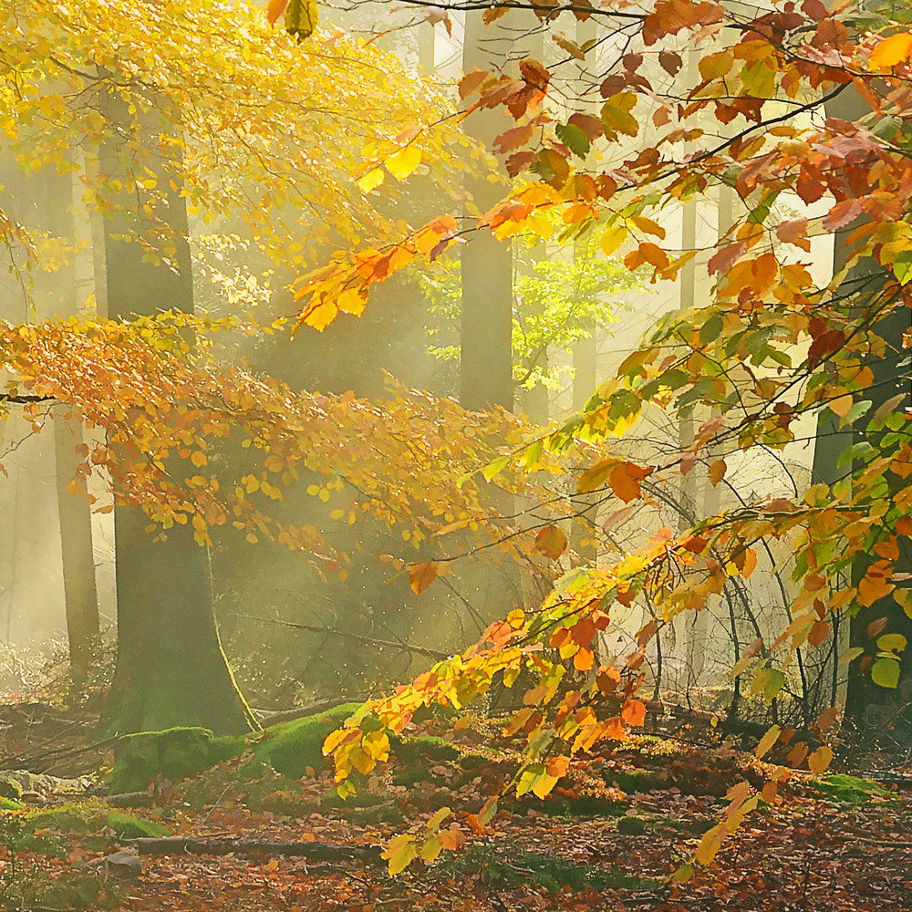 Architects Paper Fotobehang AP Digital 4