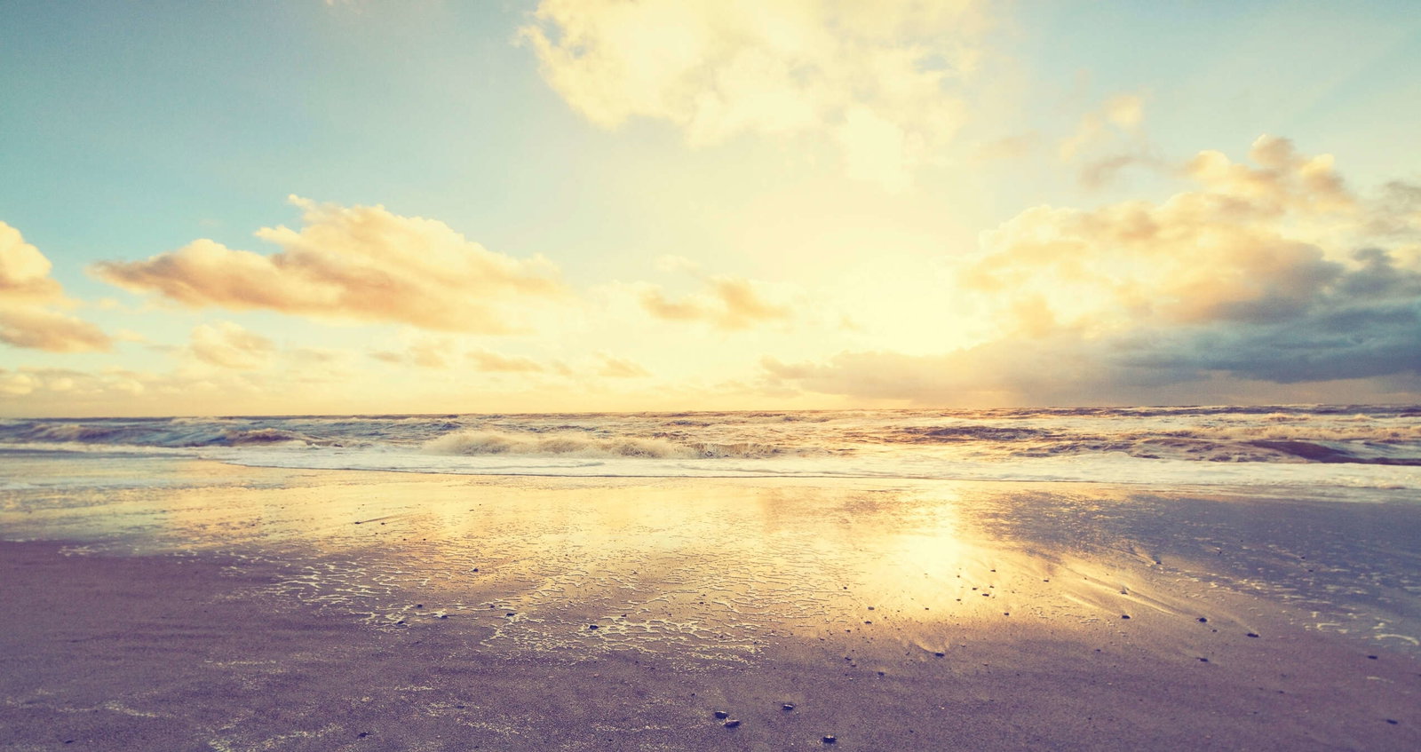 Architects Paper impression numérique AP Digital 2