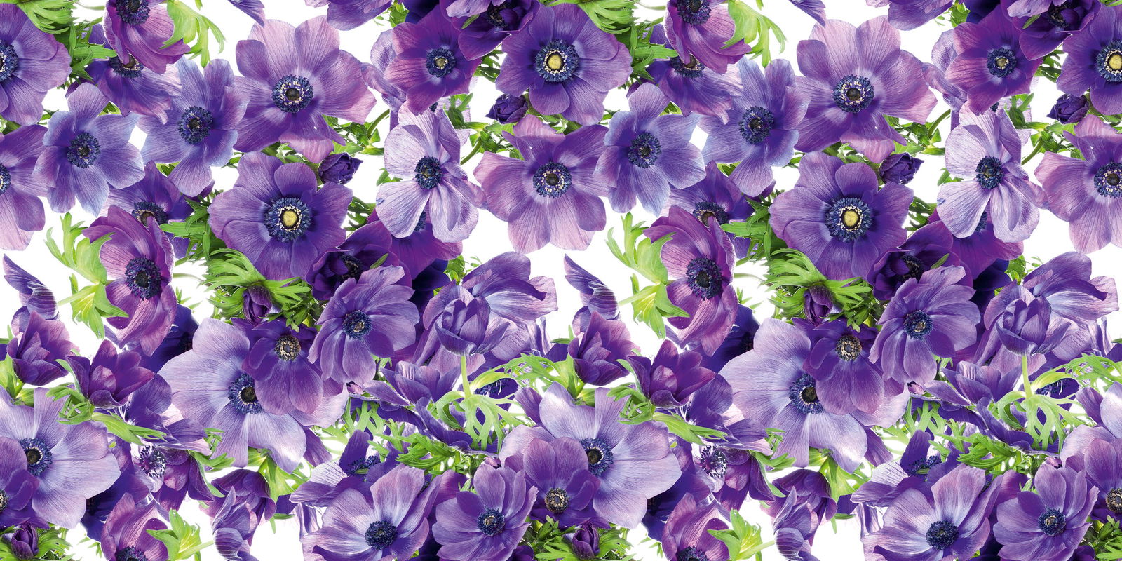 Architects Paper Photo wallpaper AP Digital