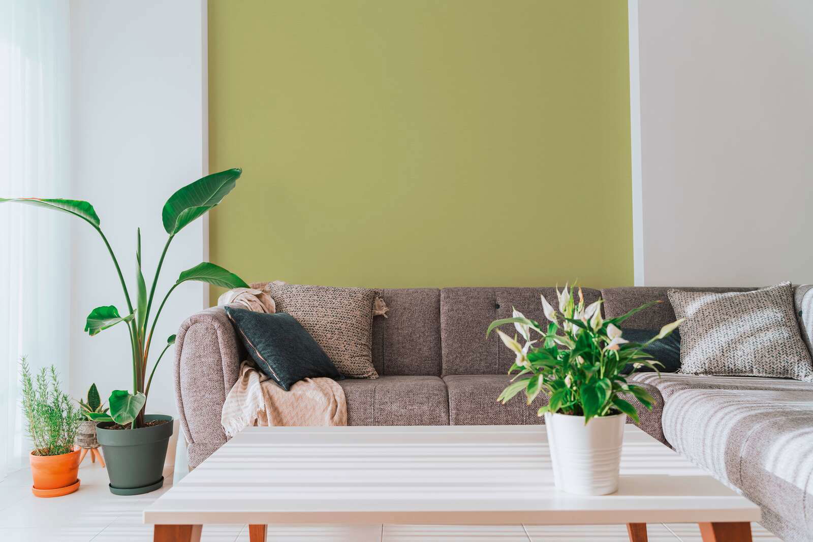 A.S. Création Tapete Antigua