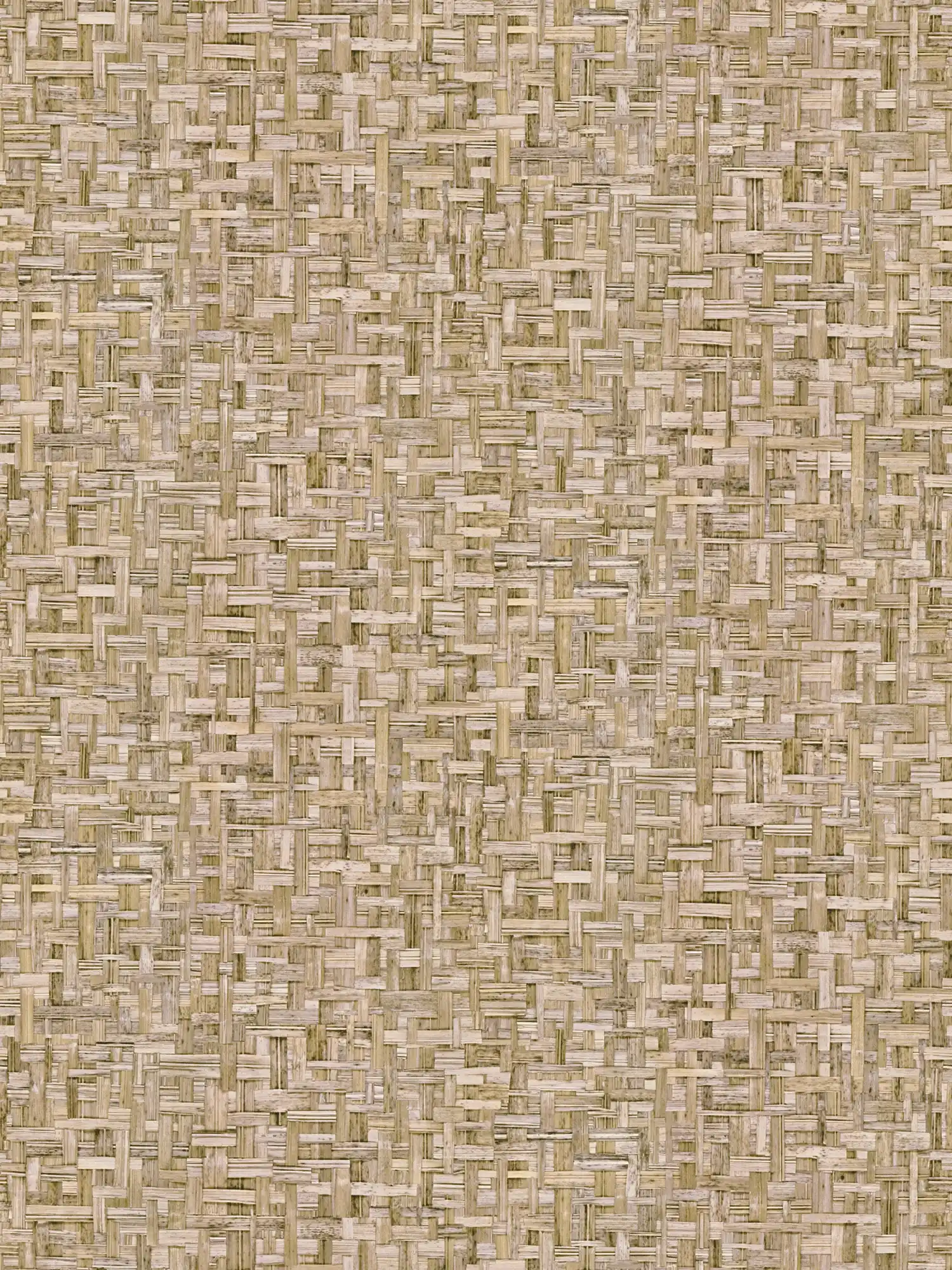 Architects Paper Tapete Jungle Chic Architects Paper Tapete Jungle Chic
