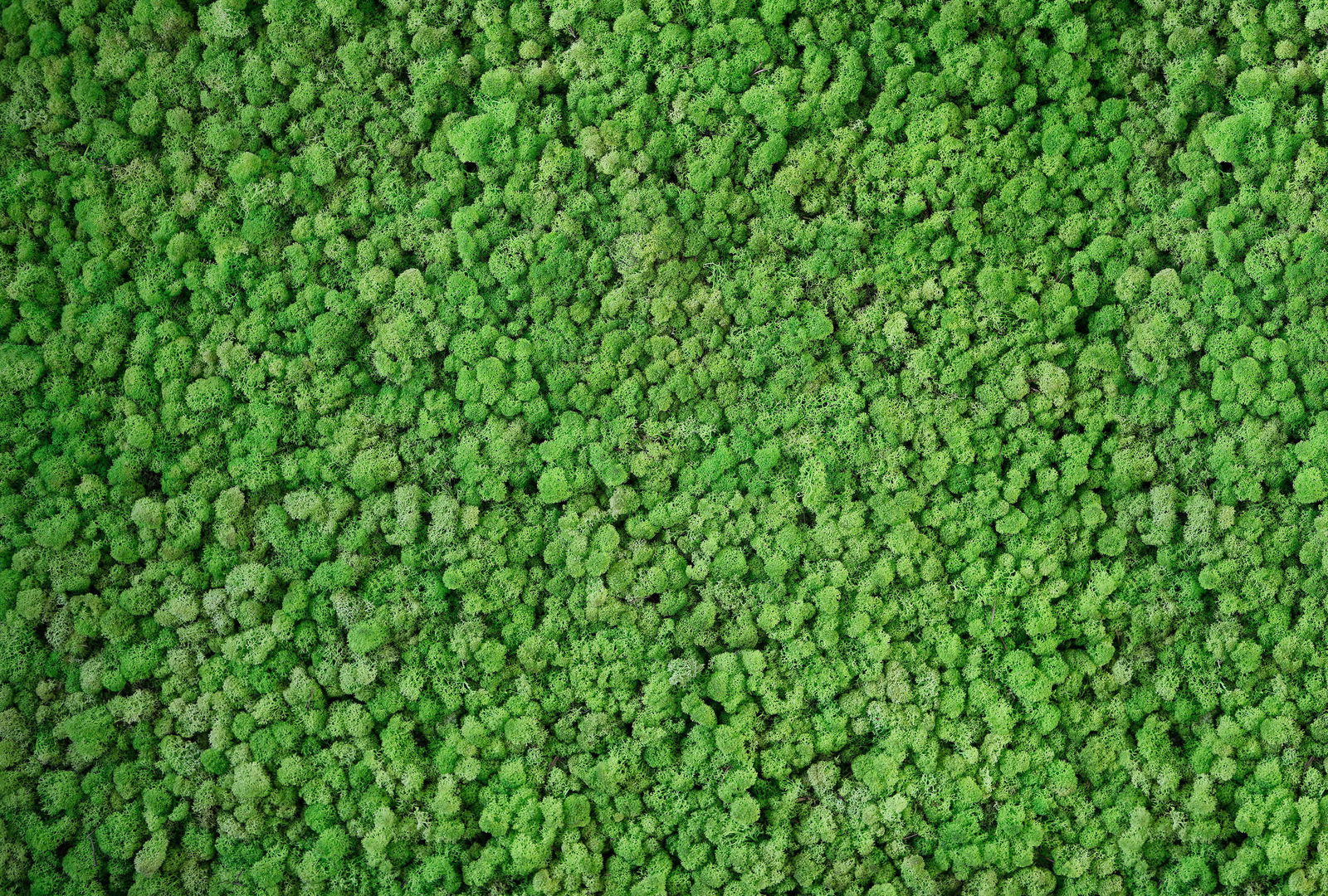 Architects Paper Fototapete AP Digital 4