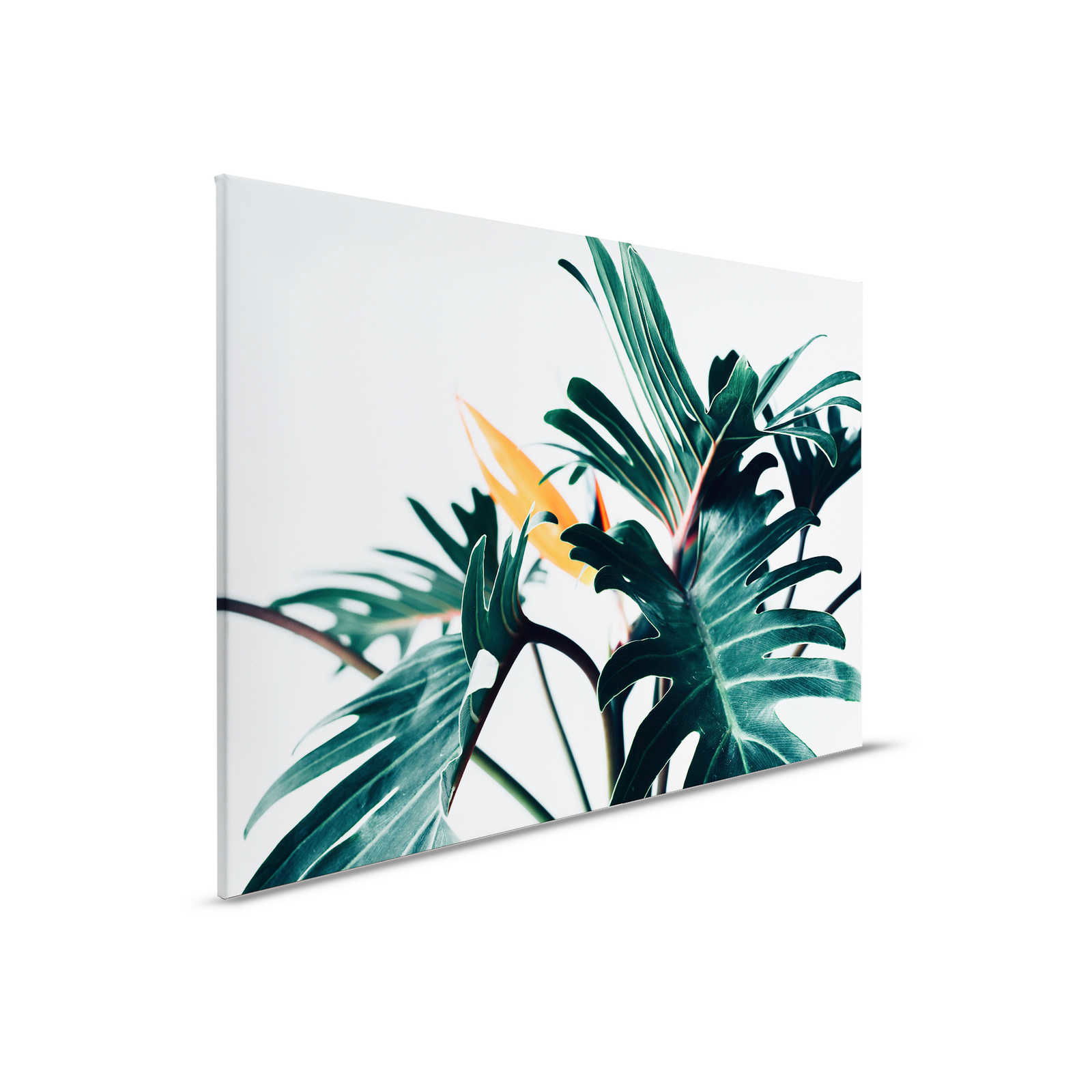 livingwalls Leinwandbild Designwalls 2 livingwalls Leinwandbild Designwalls 2