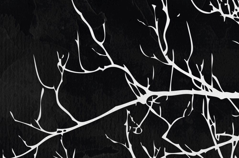 walls by patel impression numérique Walls by Patel