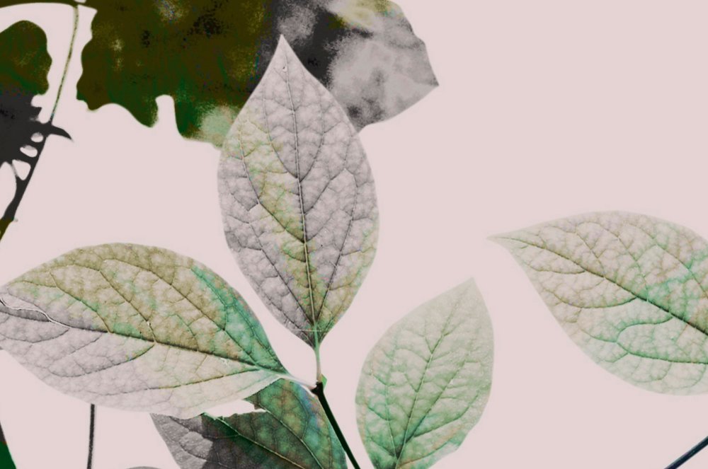 walls by patel impression numérique Walls by Patel