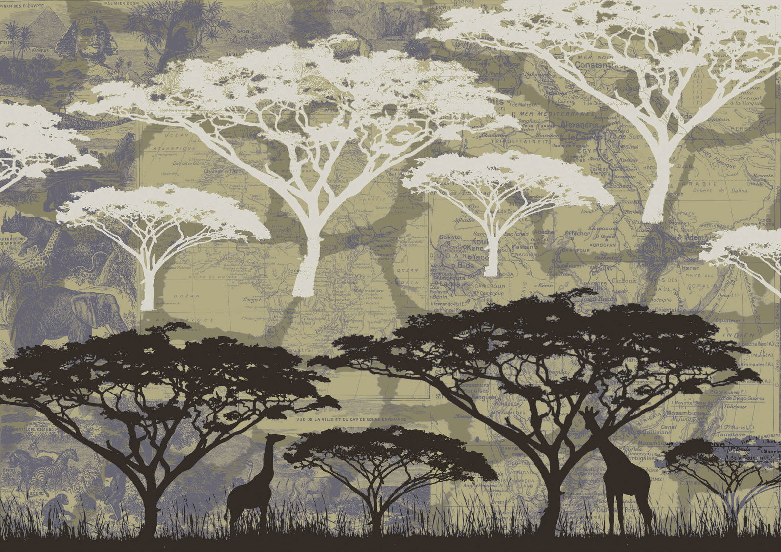 Architects Paper Fotobehang AP Digital