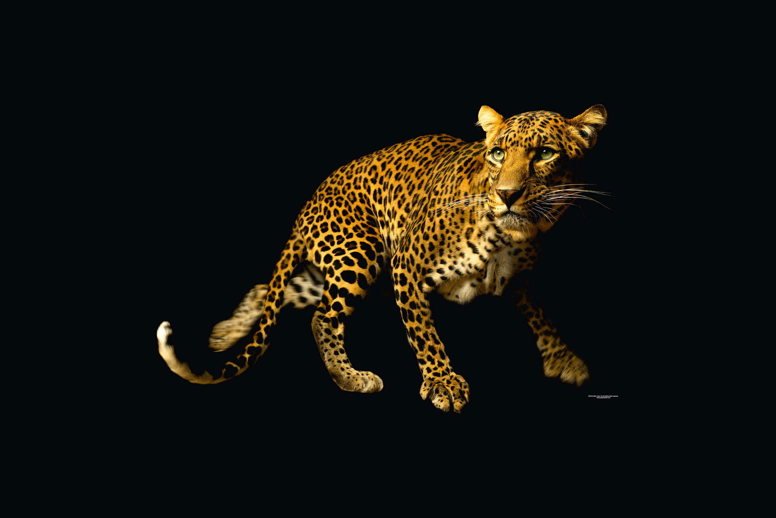 Architects Paper Photo wallpaper AP Digital