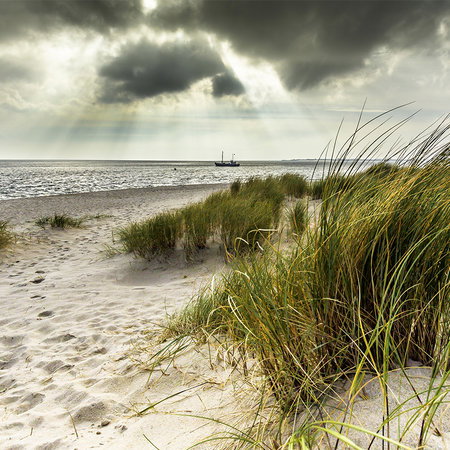 Architects Paper Fotobehang AP Digital 2