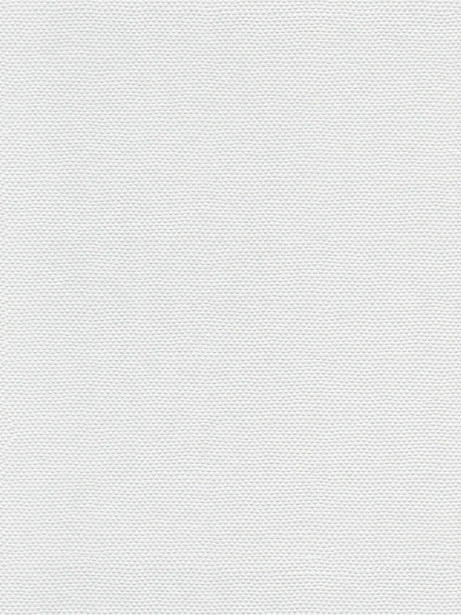 A.S. Création Wallpaper Designed in White