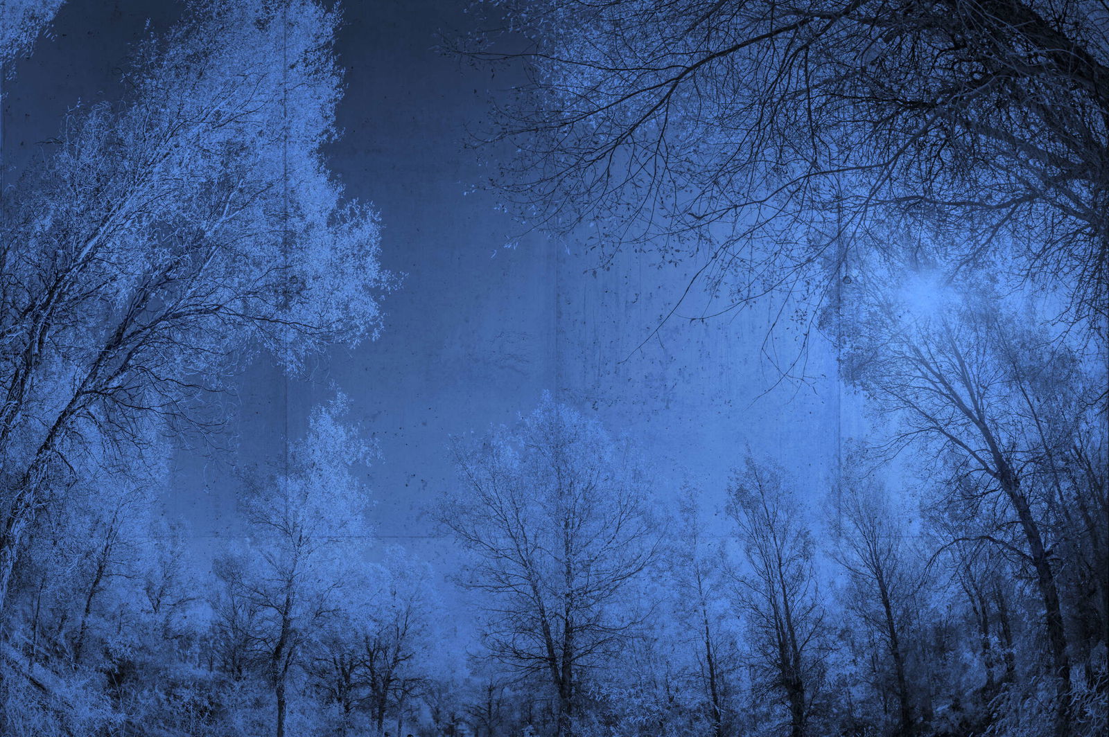 Architects Paper Fototapete Atelier 47