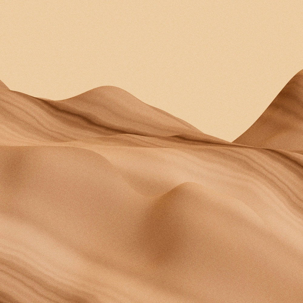 walls by patel Fototapete Walls by Patel 4 walls by patel Fototapete Walls by Patel 4