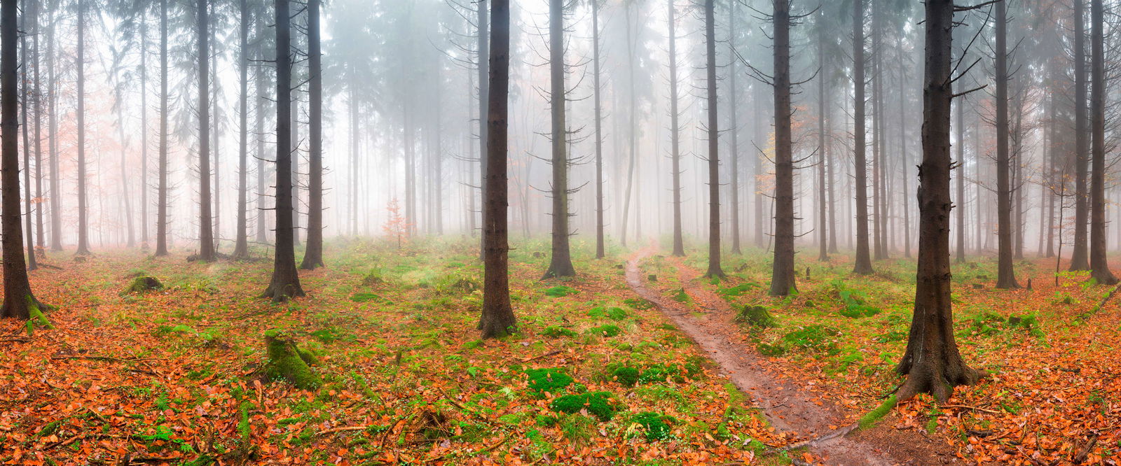 Architects Paper Photo wallpaper AP Digital 3