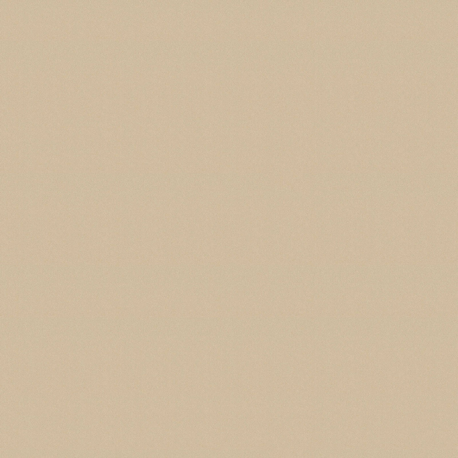 Architects Paper Wallpaper AP Longlife Colours