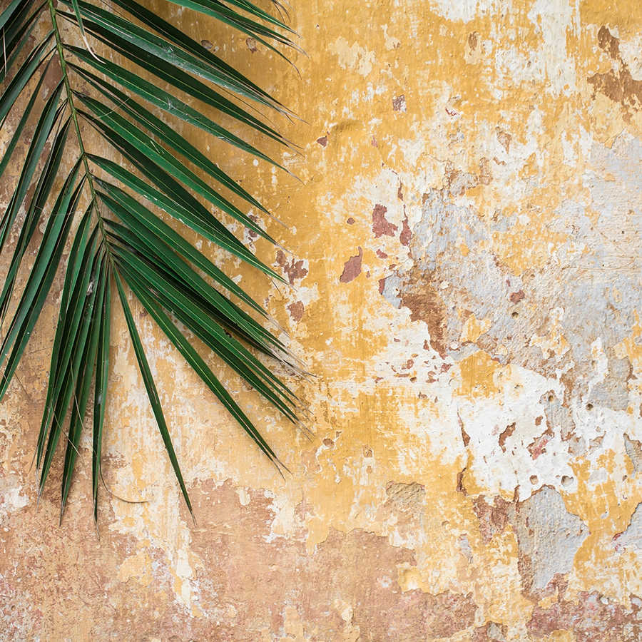 livingwalls Фотообои XXL unique