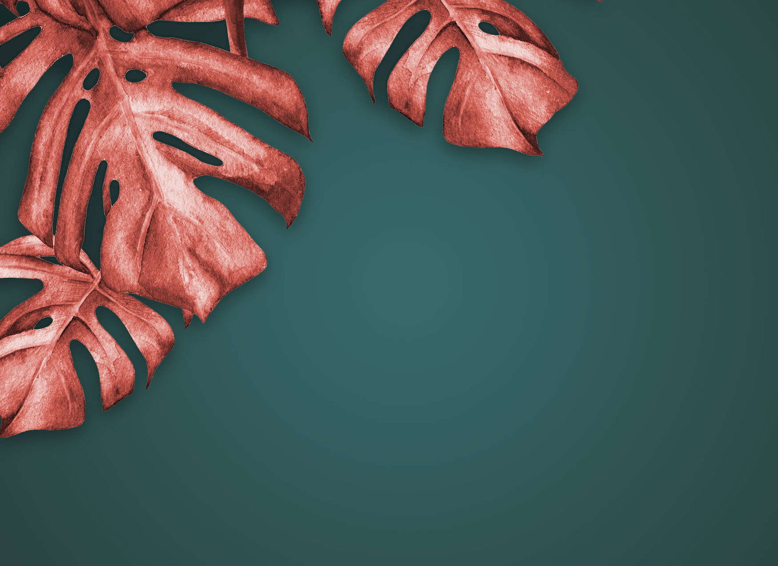 livingwalls Photo wallpaper Designwalls 2