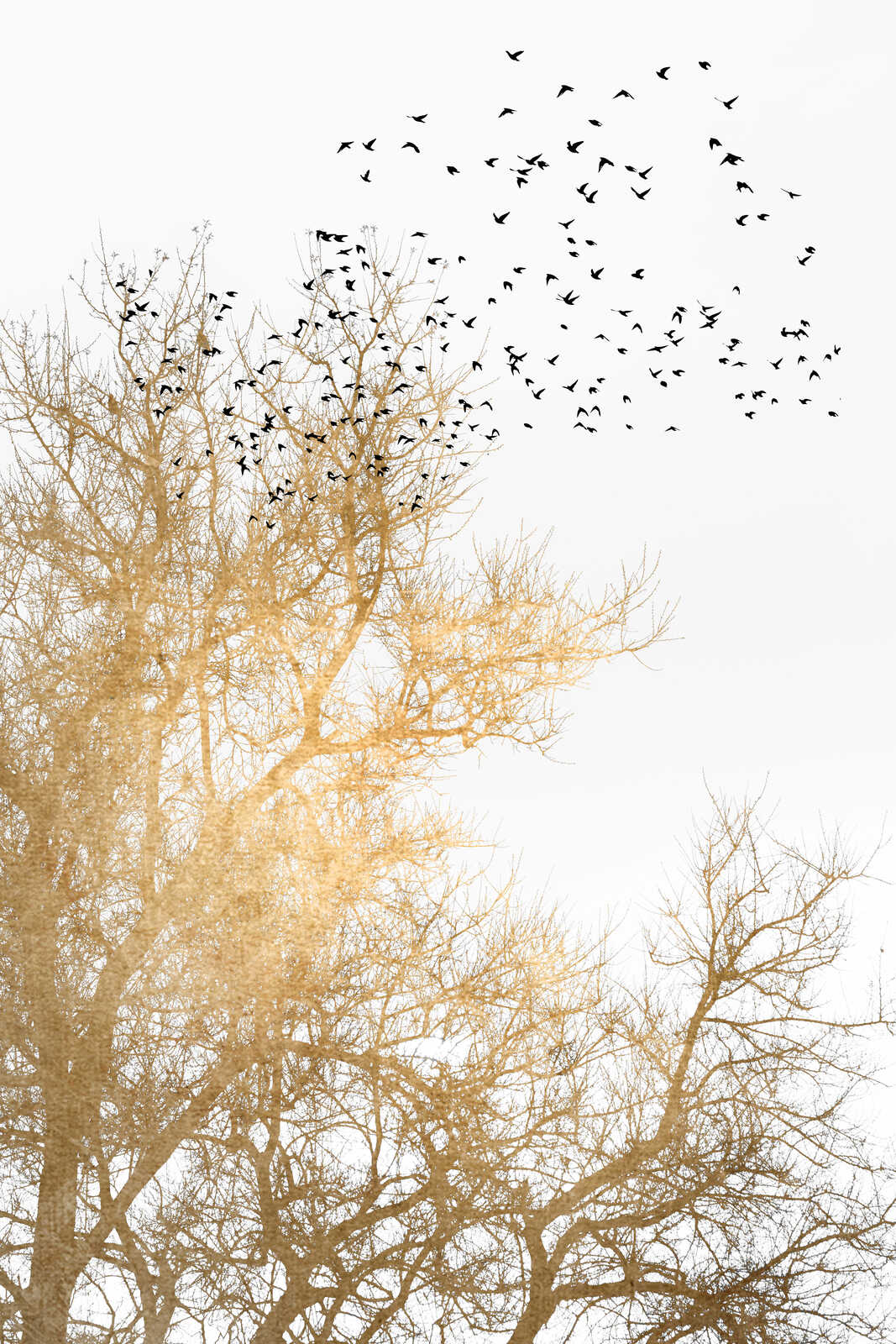 livingwalls tableau sur toile ARTist