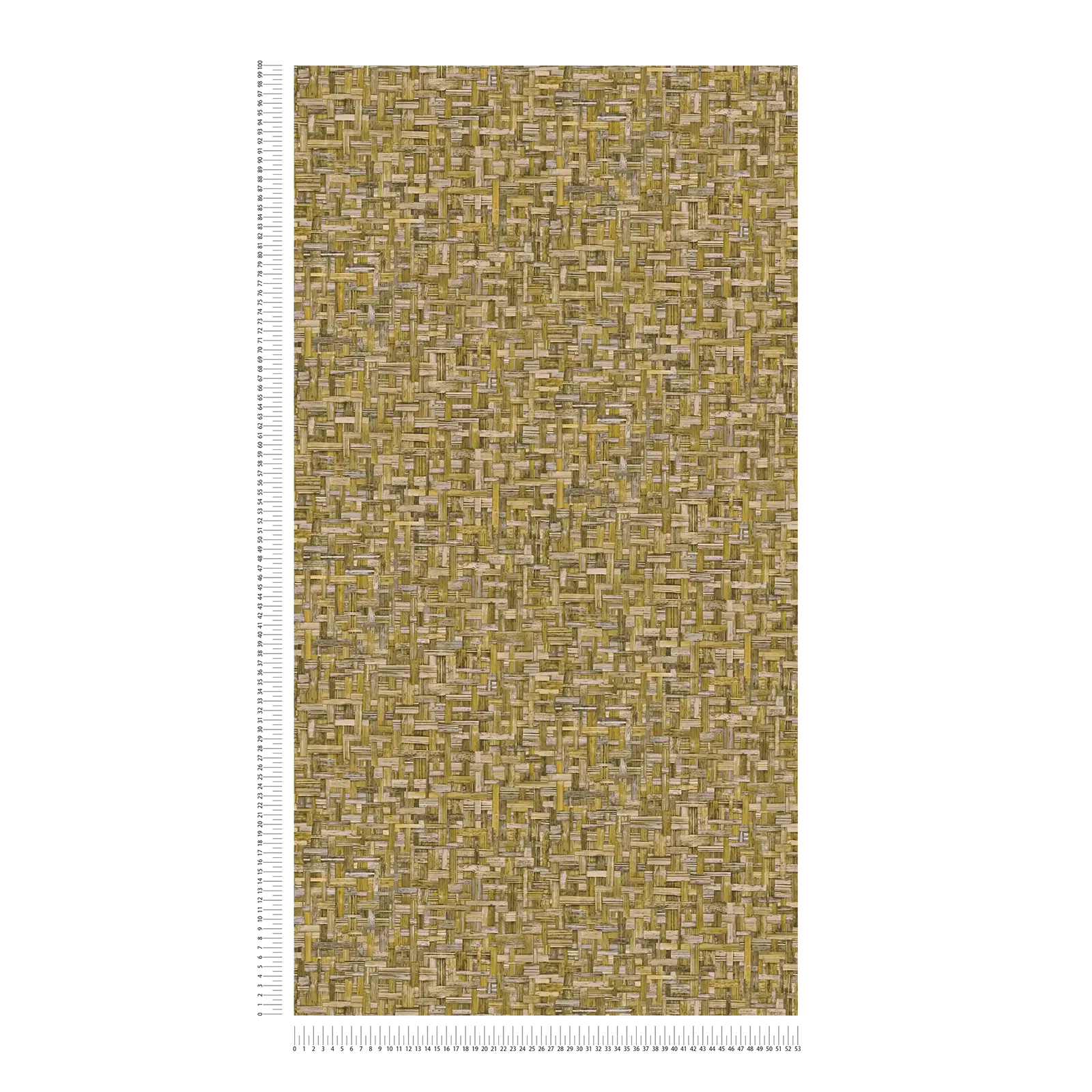 Architects Paper Wallpaper Jungle Chic