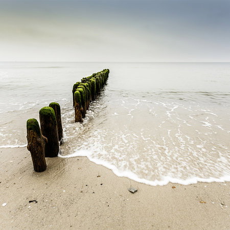 Architects Paper impression numérique AP Digital 2