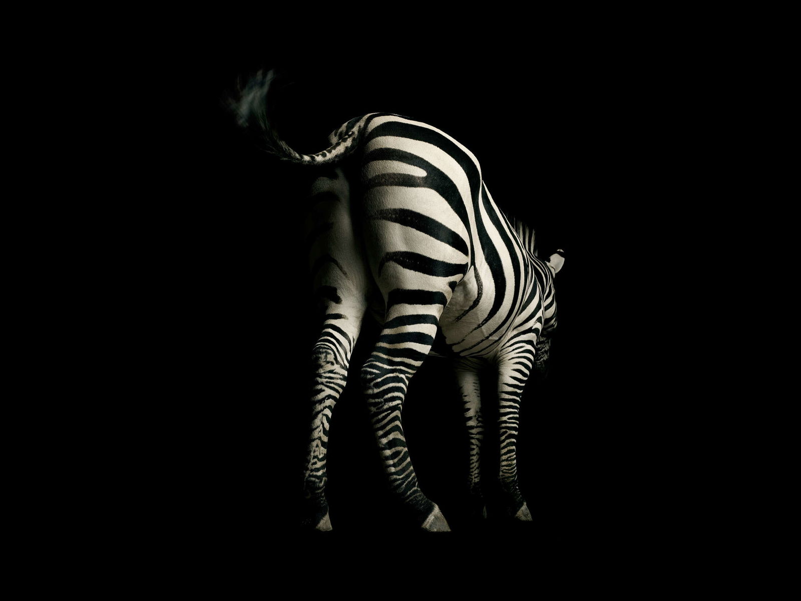 Architects Paper impression numérique AP Digital