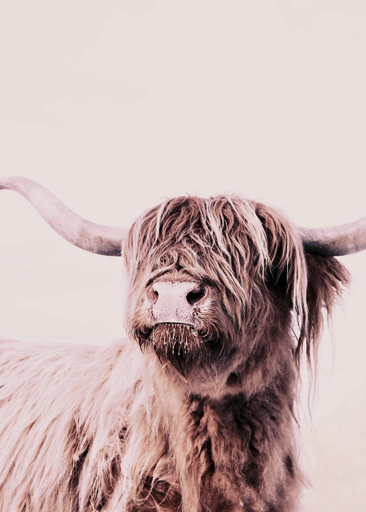 livingwalls Фотообои ARTist