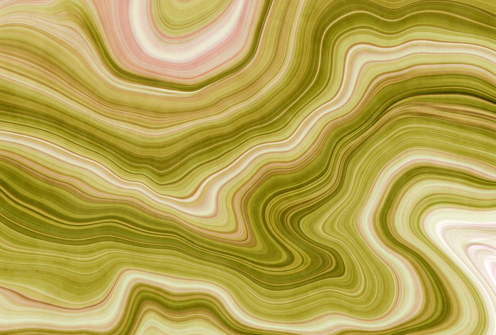 walls by patel impression numérique Walls by Patel