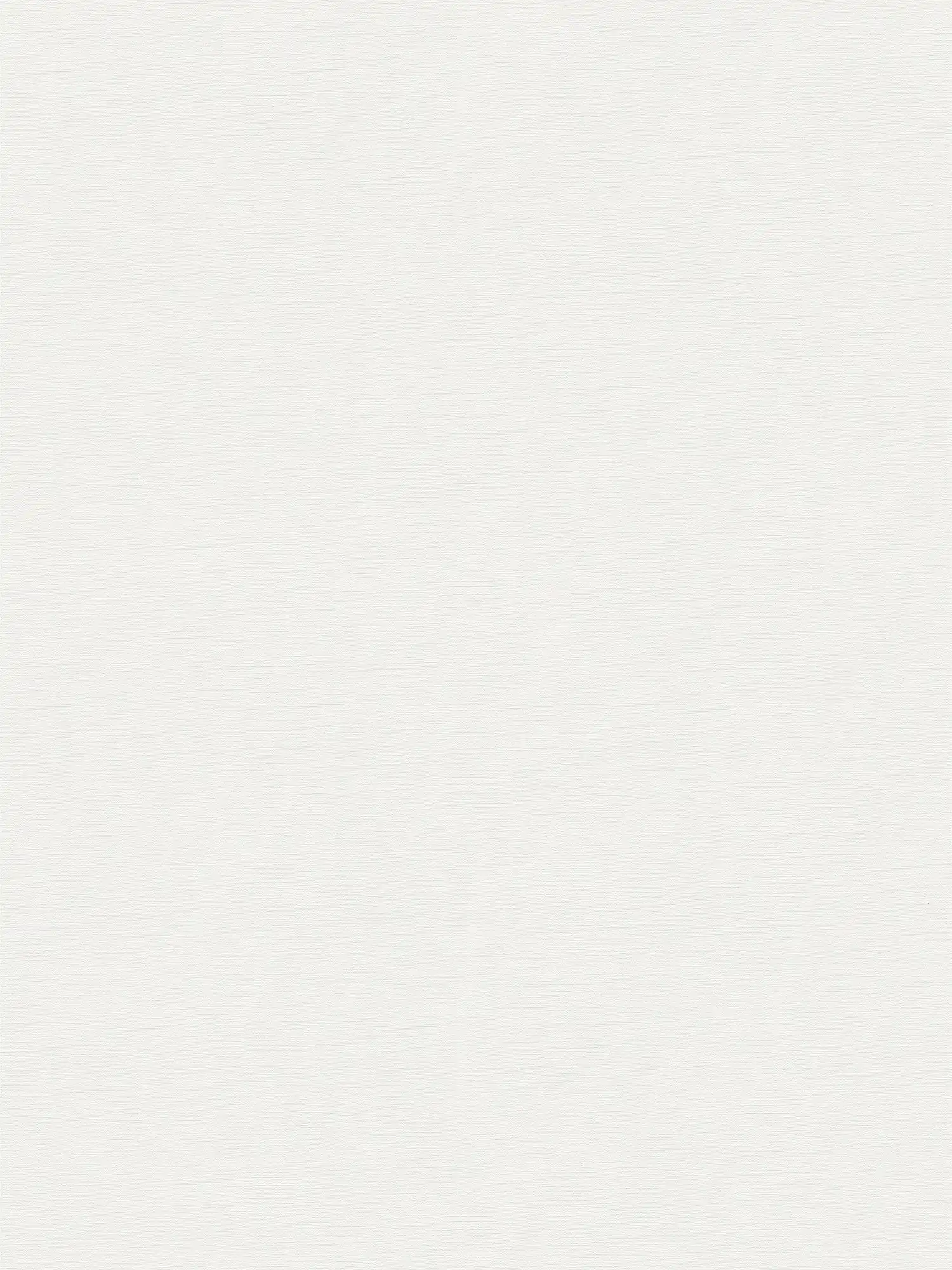 A.S. Création Wallpaper Designed in White