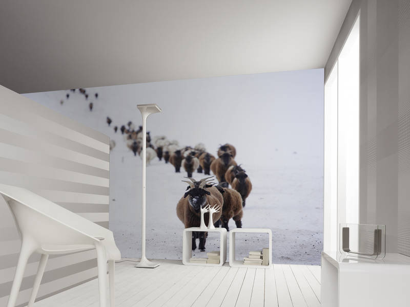 Architects Paper impression numérique AP Digital