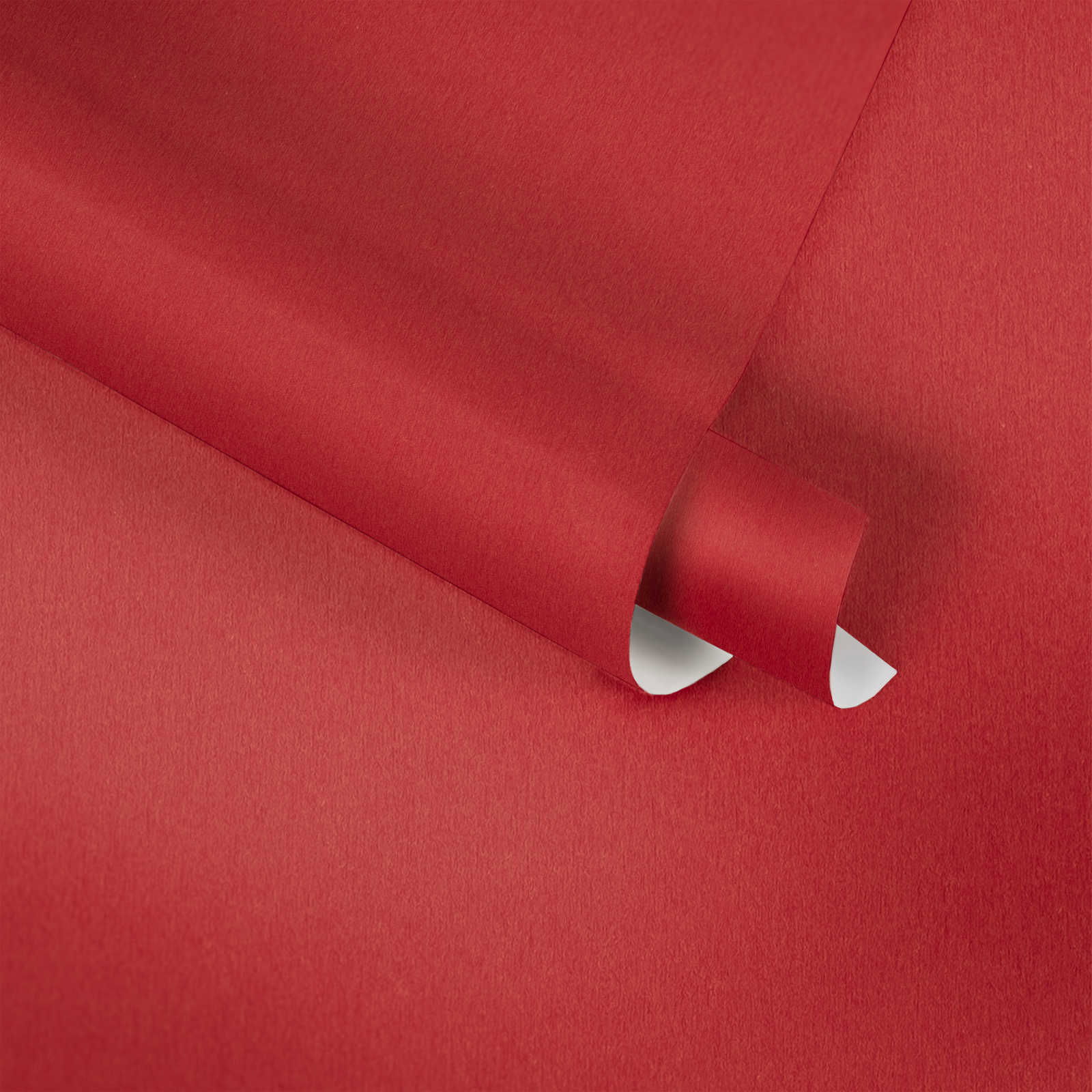A.S. Création papier peint Little Love